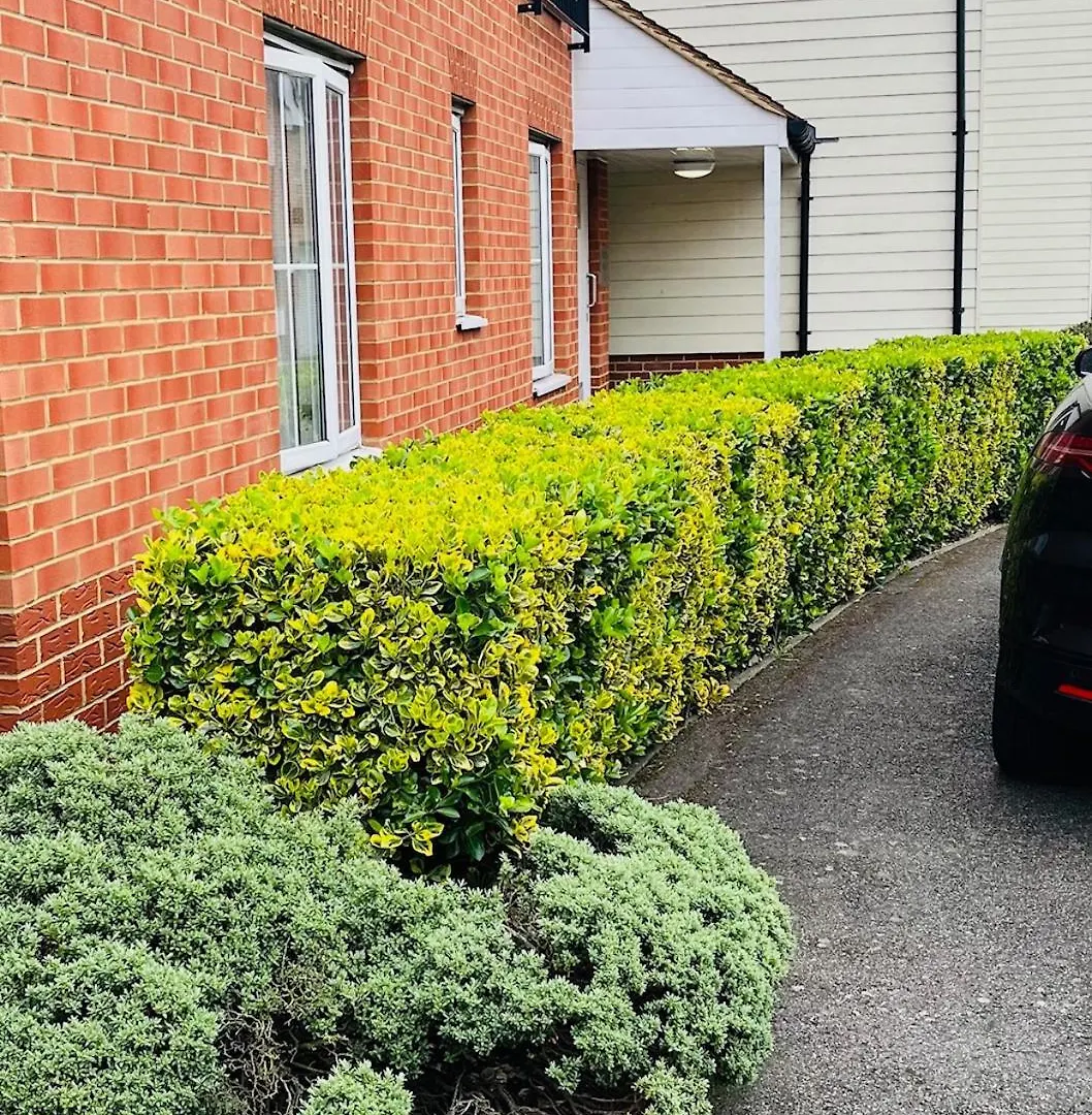 Beautiful One Bed Flat Apartment Dagenham